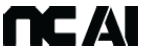 NC AI